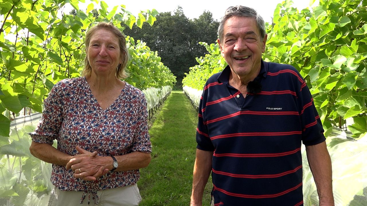 Ritsaart en Mariëlle uit Lomm maken hun eigen wijn
